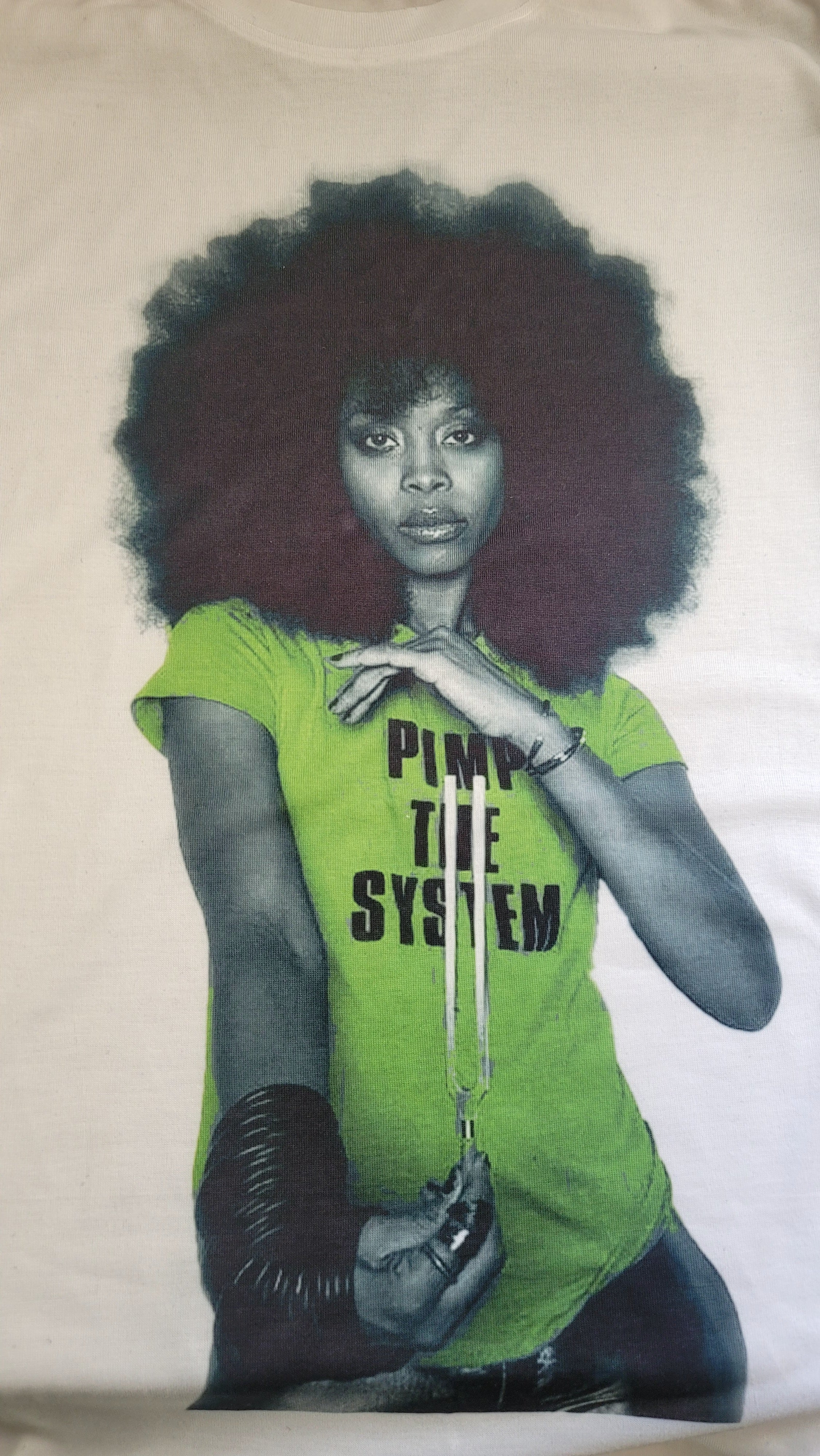 Erykah Badu Pimp The System