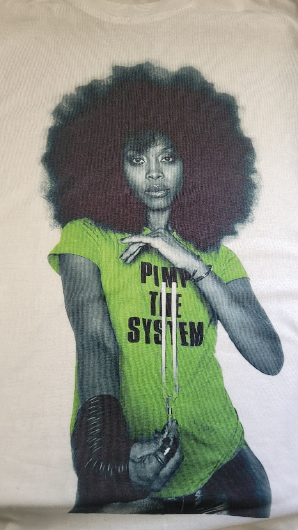 Erykah Badu Pimp The System